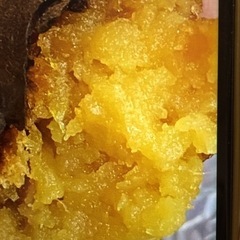 熟成焼き芋 紅はるか 石焼き芋 やきいも 予約販売 茨城県産