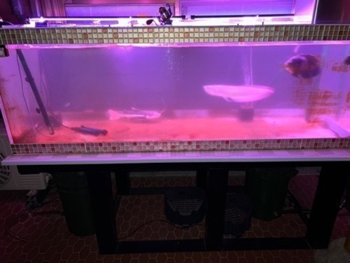 アクリル水槽　1800