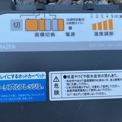 ホットカーペット（ダニ退治機能付き）【お引渡し完了】