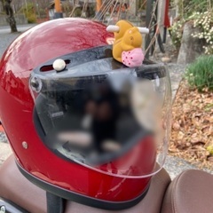女性バイカーだけのツーリングサークル