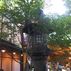 コロナ禍ですが、ラインしてくださるかた⛄