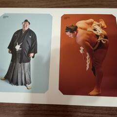 横綱白鵬関の引退記念のポストカードセットの画像