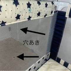 プレイヤードの画像