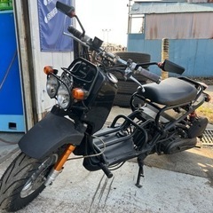 ズーマー　カスタム車　50cc  
