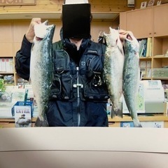 ショアサクラマス同行しながらご教授させて頂きます♪