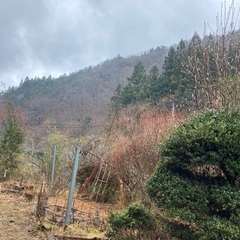 山梨県大月市で築100年の古民家があります。水道は湧水が常に供給されている家で水道代は無料＋おいしいく健康的。お風呂は灯油の給湯器でも薪でも併用でも可能。日当たりはかなり良いのでソーラー発電も設置さえすれな可能なので、オフグリット生活をしてみたい方は掘り出し物です。畑や柚子の木も敷地内にあります。駐車場はないですが、軽であれば車庫証明は不要のようです。隣に小川が流れ、大きめの川までも徒歩1分です。きのこ狩りのメッカも車で30分程度の場所です。ご興味のある方はご連絡ください。家賃30000円です - 不動産
