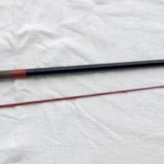 ★さくら　桜　サクラ伊勢　１.８m