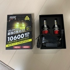 フォグランプ　イエロー