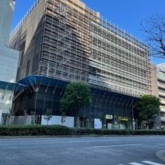 鳶   鳶サポート急募‼️の画像