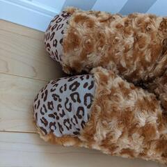 くまのぬいぐるみの画像