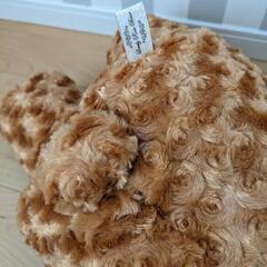 くまのぬいぐるみの画像