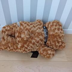 くまのぬいぐるみの画像