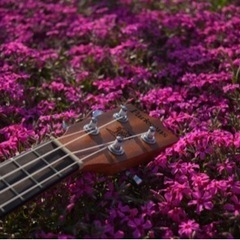 ２０２５年Ukulele lesson!子供から大人まで海の見える教室か、オンラインでウクレレを習ってみよう◎初心者歓迎◎の画像