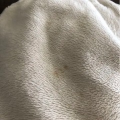 モノクロブーぬいぐるみの画像