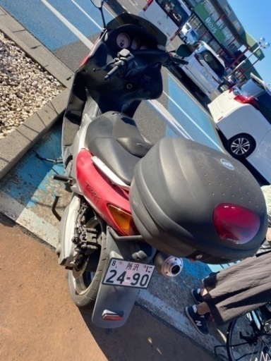 車検付きT max乗って帰れますよ。