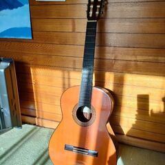ガットギター差し上げます。1月中。