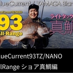 ヤマガブランクスなんでも、どこでも万能ライトゲームロッド 93の画像