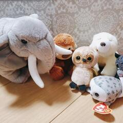 動物ぬいぐるみ