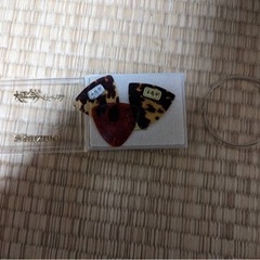 古賀政男　大正琴の画像