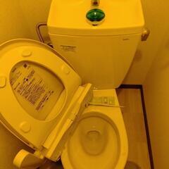 汚トイレ汚掃除！カビ！尿石！一発退治！