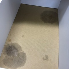 A2301-421  BRUNO コンパクトホットプレートBOE021 (平面プレート不足)  外箱有(中底にシミ有)傷、汚れ残りあります　現状お渡しの画像