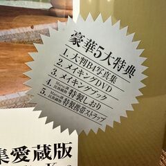 M044 新品 未開封 DVD付 倖田來未 写真集 愛蔵版 レスリー・キー Leslie Keeの画像