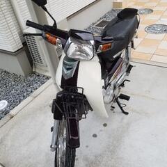 希少ベトナムガブ80の画像