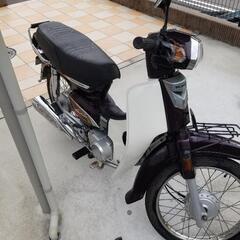 希少ベトナムガブ80の画像