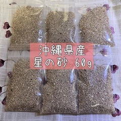 沖縄県産 星の砂 60g
