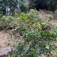 雑木　焚き物等に
