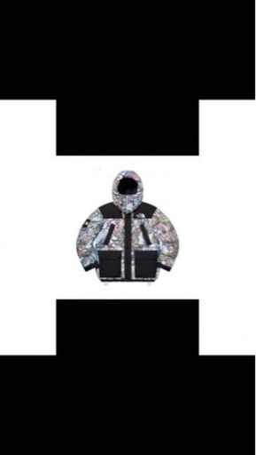 メンズ Supreme The North Face 700-Fill Down