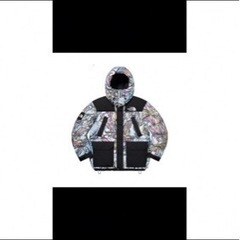 Supreme The North Face 700-Fill ...