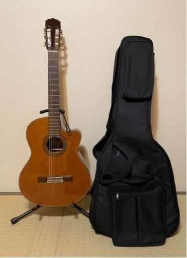 Aria エレガットギター ケース付き