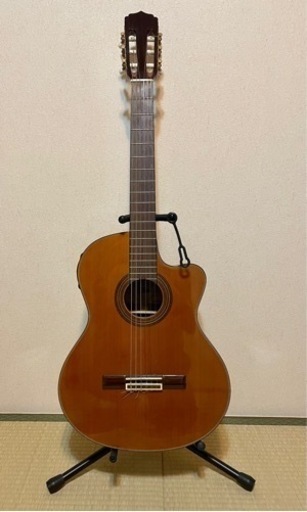 Aria エレガットギター　ケース付き