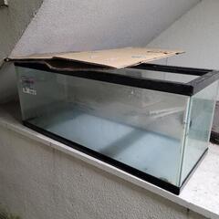 商談中。水槽90×33×36