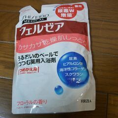 レトルトカレー他　食品8点 & 入浴剤の画像