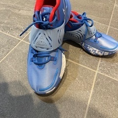 NIKE バスケットシューズ