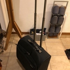 ACEGENE 大型ビジネスキャリーの画像