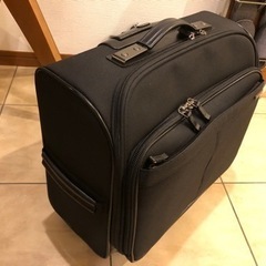 ACEGENE 大型ビジネスキャリーの画像