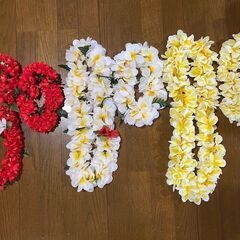 フラダンス　レイ　レイポオ　3種一緒に