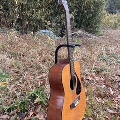 YAMAHA  ＦＧ　413-12の画像