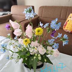 2月フラワーサークルの画像