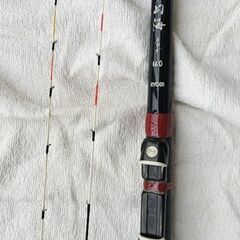 別誂 夢幻海イカダ160　替え穂2本　手渡しの画像