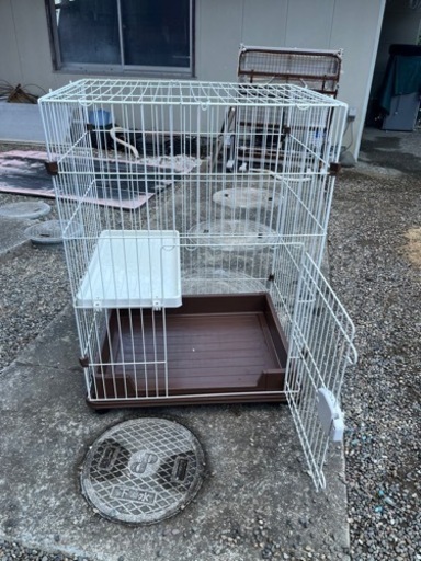 猫　2段ゲージ　お取引決定
