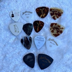 ナスカ　ギターケースの画像