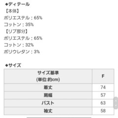 Radyデカロゴパーカーの画像
