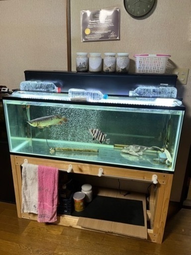 120センチ水槽　生体セット