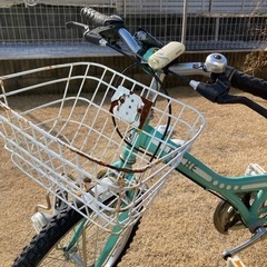 20インチ　自転車の画像