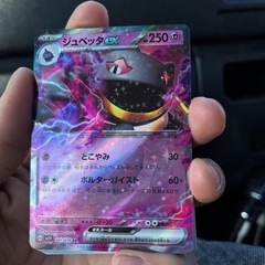 ポケモンカード　ジュペッタex他19枚