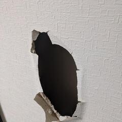 壁紙（クロス）張り替えませんか？